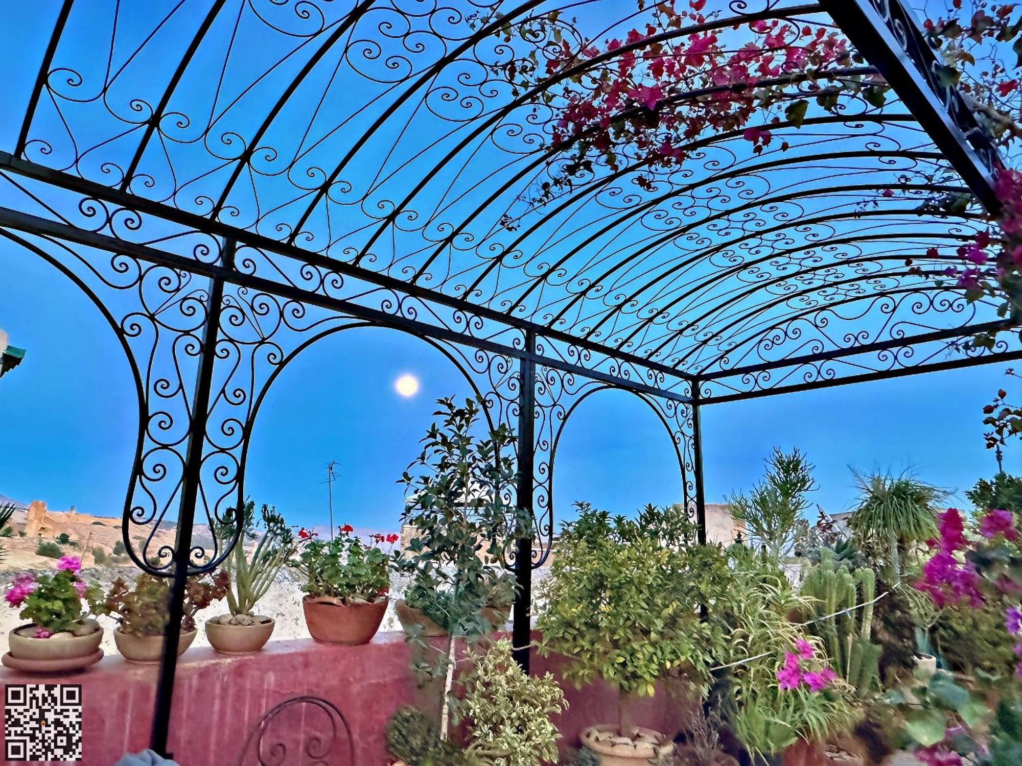 Riad Toyour- Riad Of Birds Фес Экстерьер фото