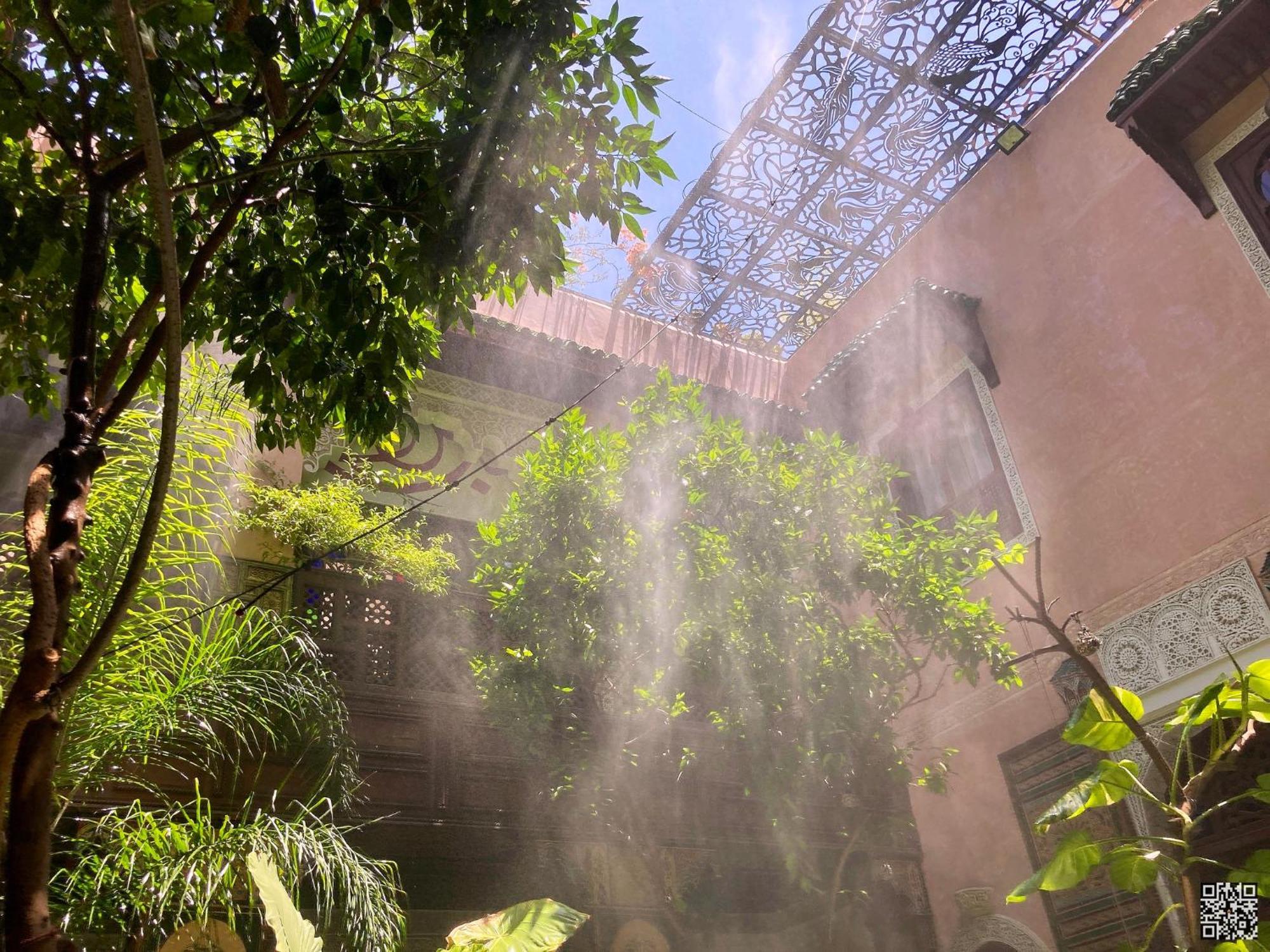 Riad Toyour- Riad Of Birds Фес Экстерьер фото